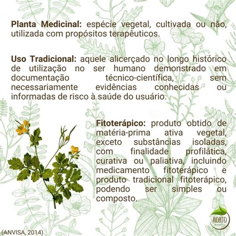 srozmarin|Horto Didático de Plantas Medicinais do HU/CCS